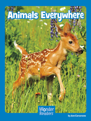 cover image of Animals Everywhere